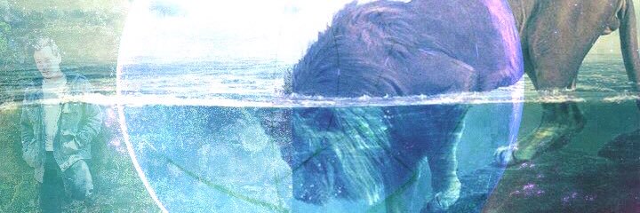 ORBT banner