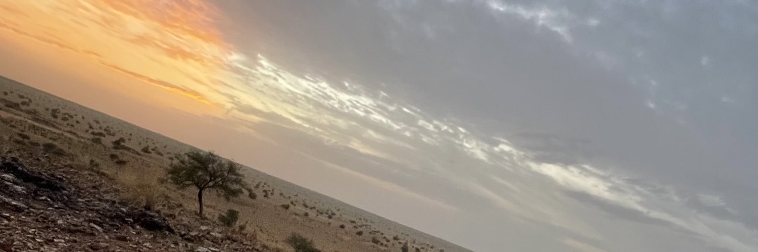 mo__mo231's profile banner image