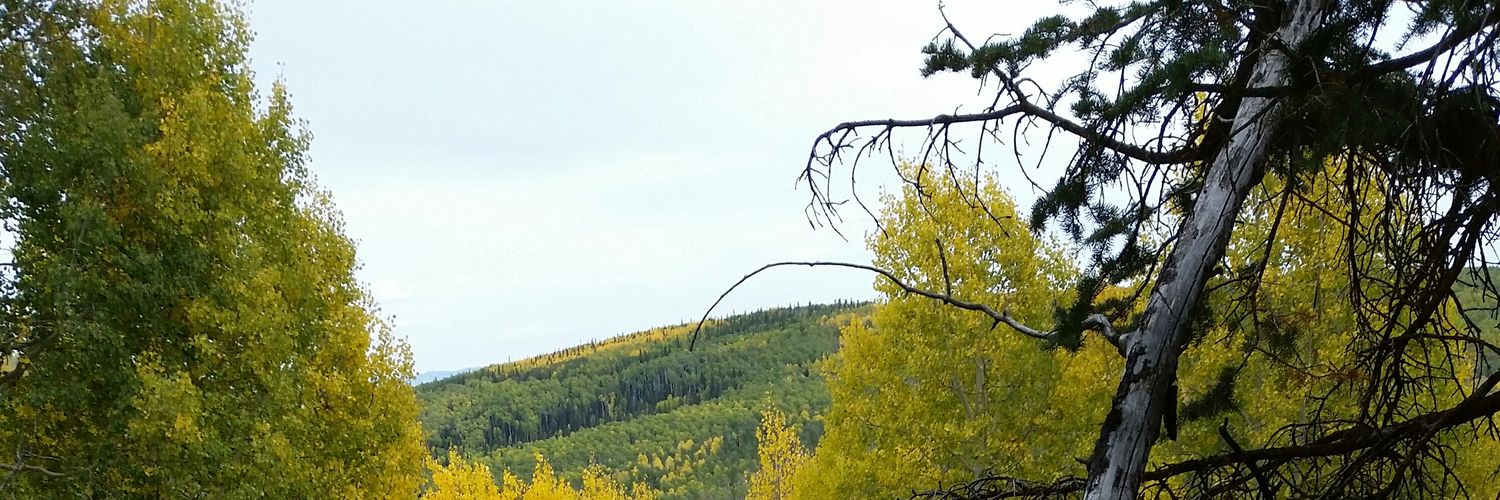 bcsaunders's profile banner image