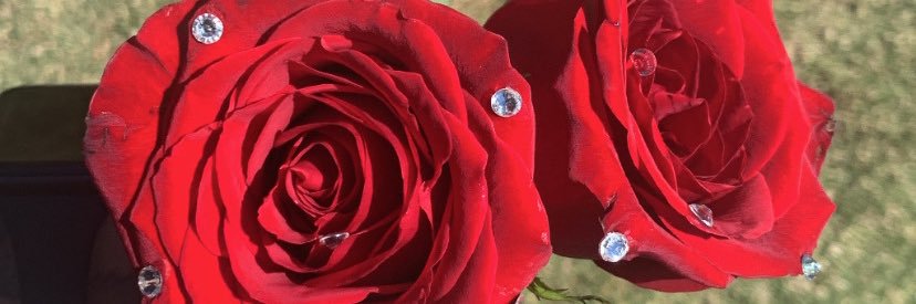 RATCHETTE_B's profile banner image