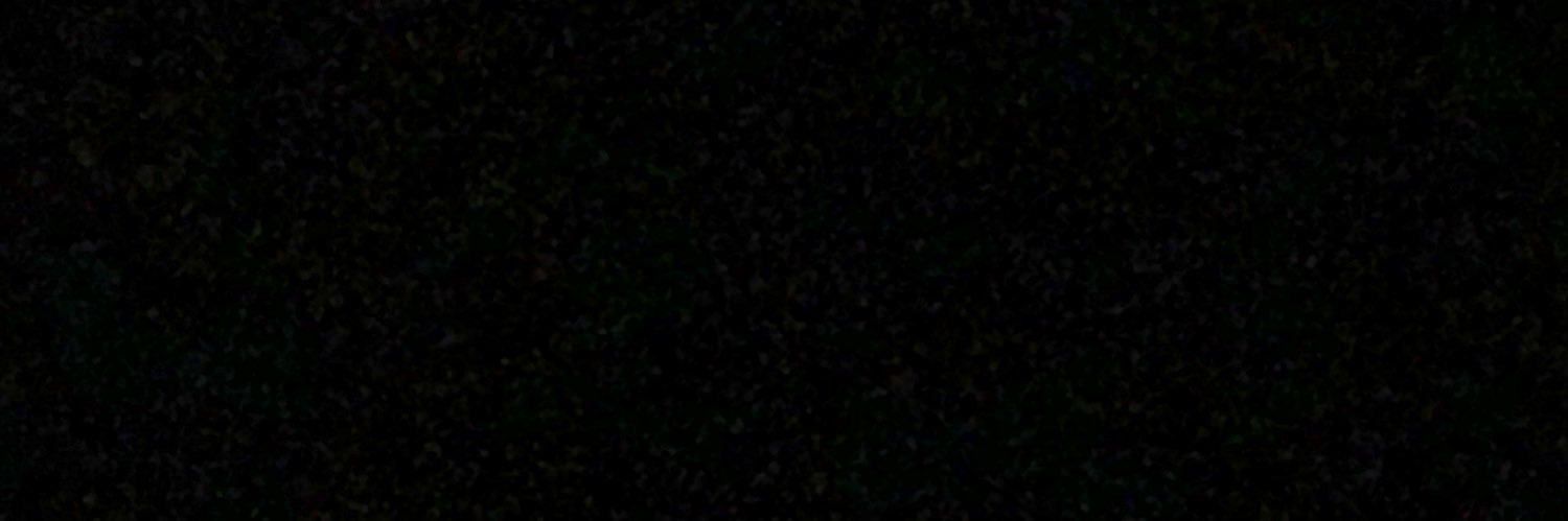 Zahrya Bailey banner