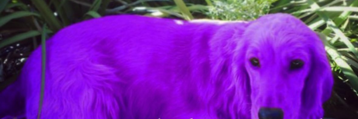_prush's profile banner image