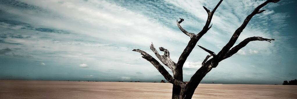 jkvsur's profile banner image