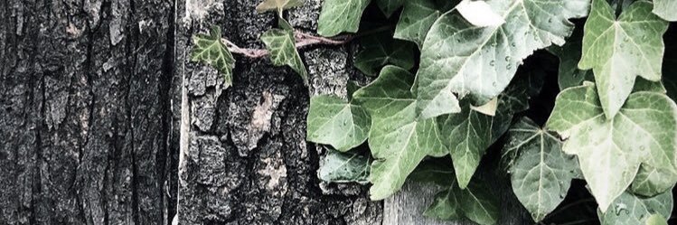 1892_adrian's profile banner image