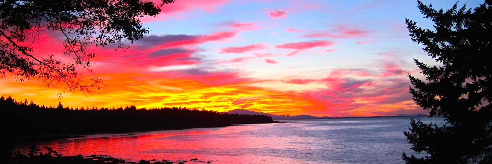 Jeffrey Duchin, MD banner