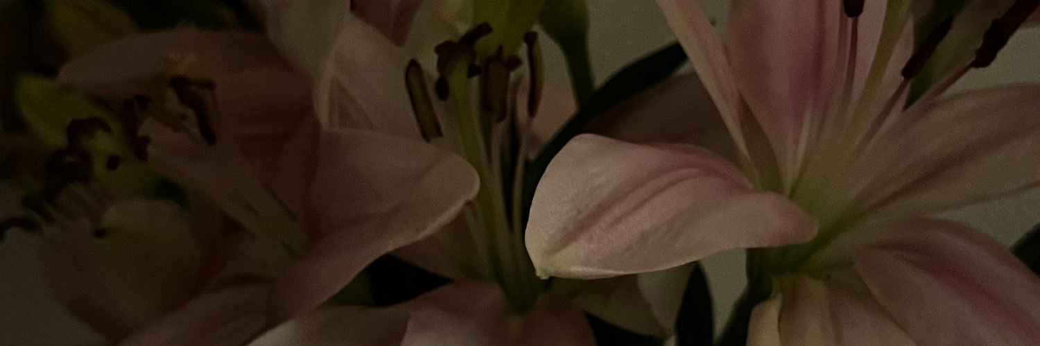 baddienoflaws's profile banner image