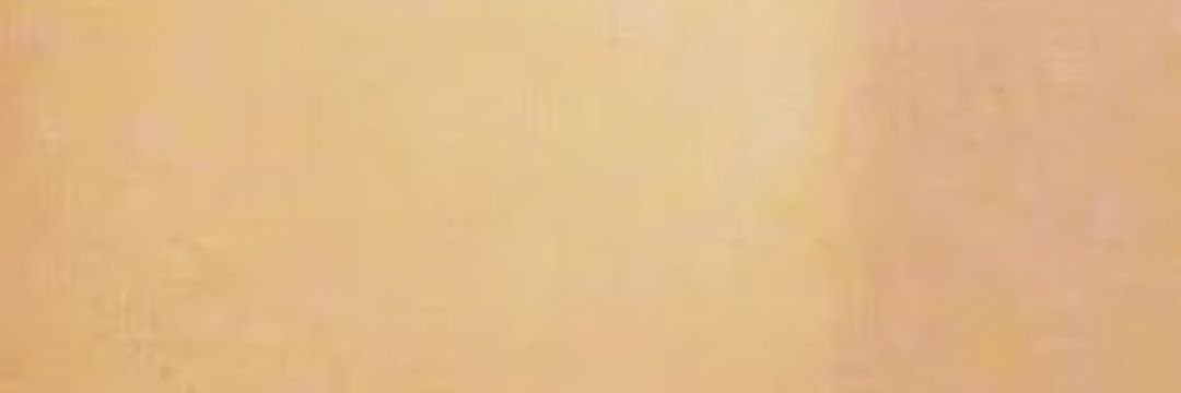 oopsdestiel's profile banner image