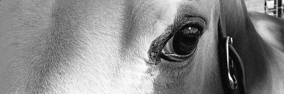 hillhouse15's profile banner image