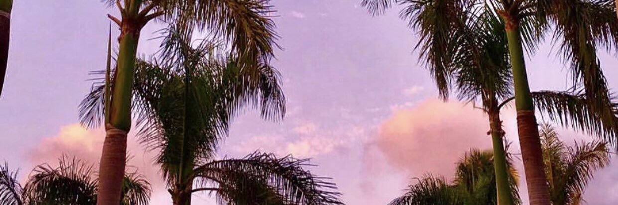 TulsPatell's profile banner image
