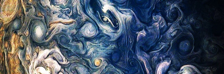 the dark manatees banner