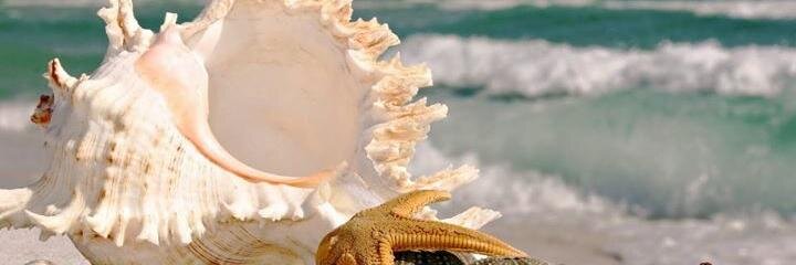 gesangsari's profile banner image