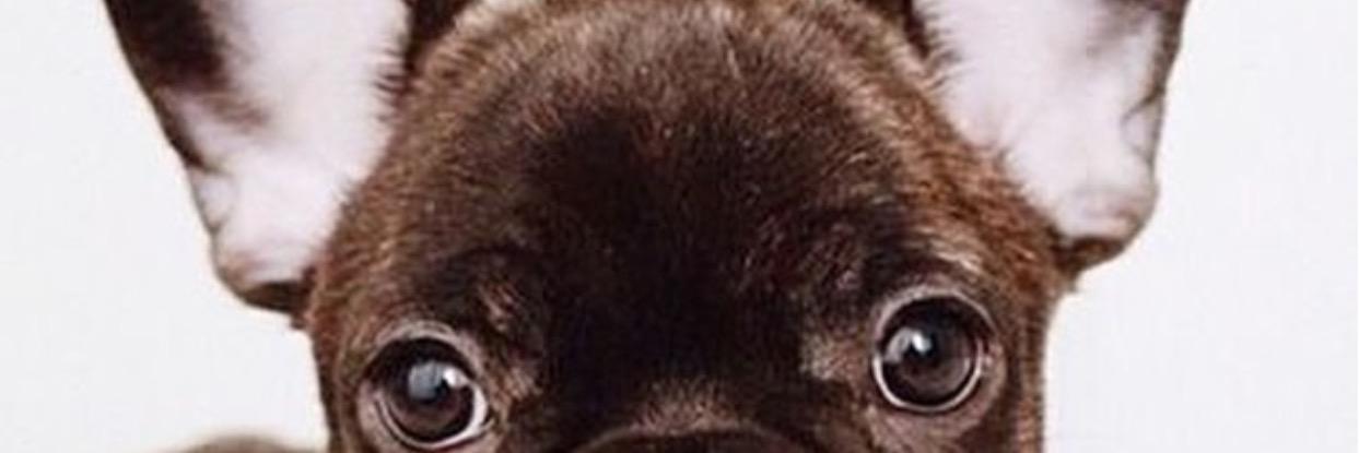Ms_Stormi's profile banner image
