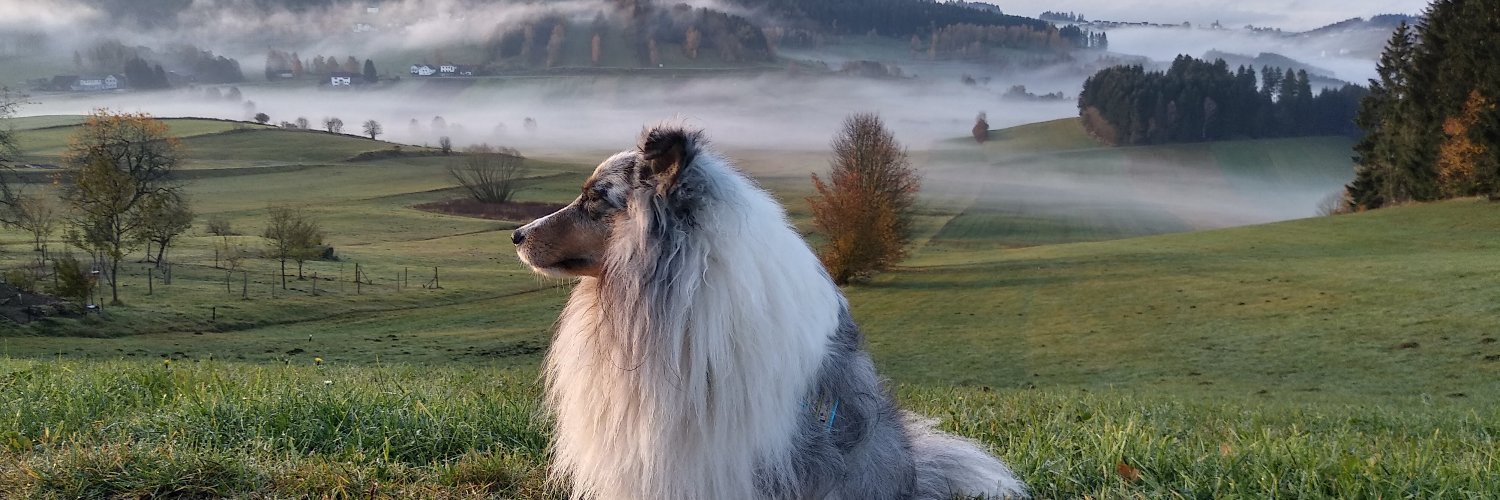 HerrHugo's profile banner image