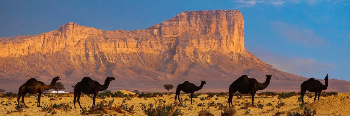 𝗝𝗮𝗯𝗲𝗿 banner