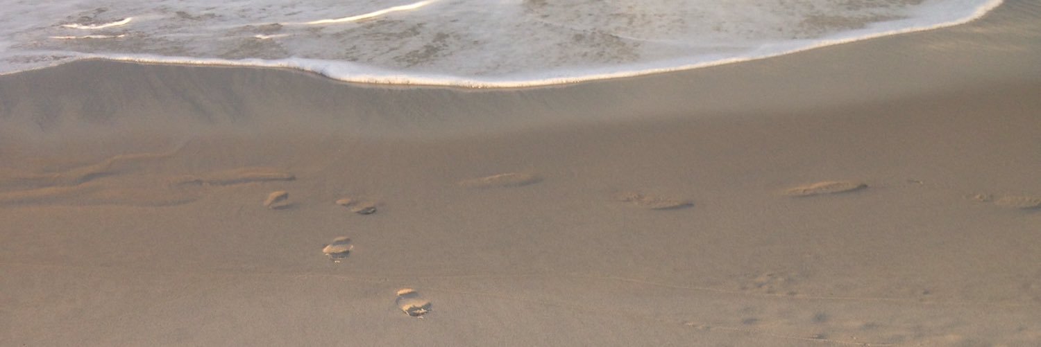cali_wallace's profile banner image