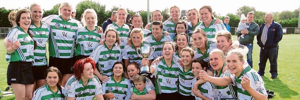 Cargin Camogie Club banner