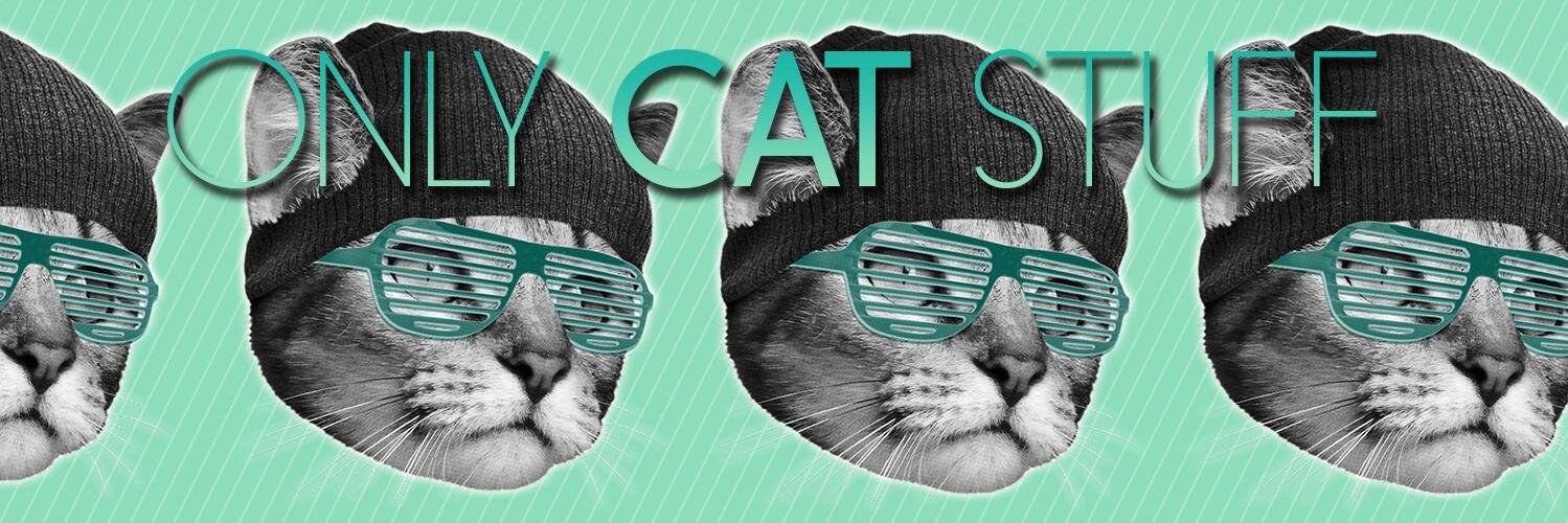 CrazyCatFreaks's profile banner image
