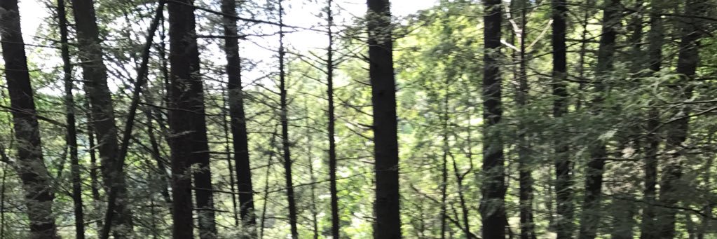 cuntbucket11's profile banner image