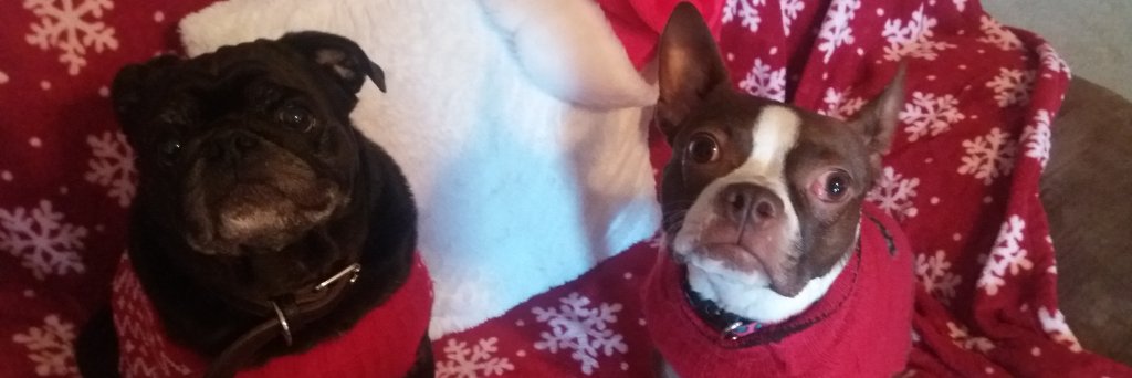 erin_clem's profile banner image
