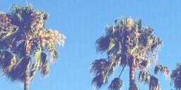 grahhr's profile banner image
