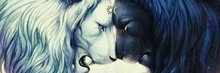 aleonaw26's profile banner image