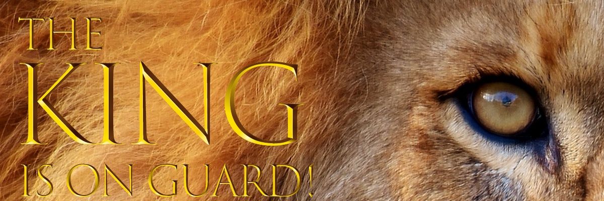 IamPiiJay's profile banner image