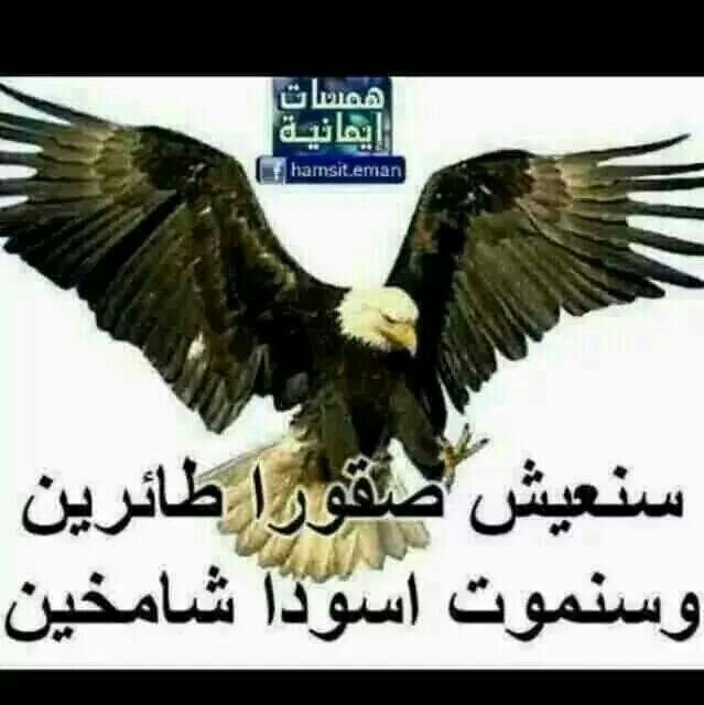Filasof_ALyamn's profile banner image