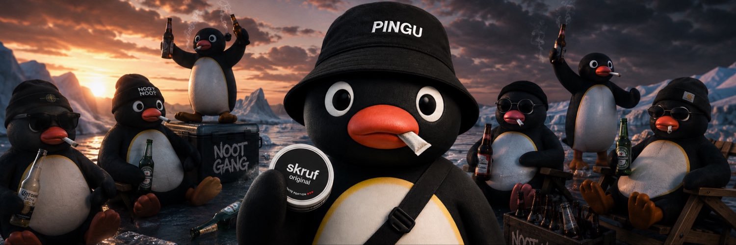 pingupingauw's profile banner image