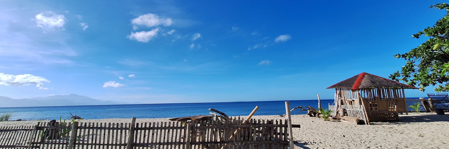 paulinenvms's profile banner image
