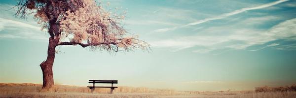 Diana_lopezgo Profile Banner