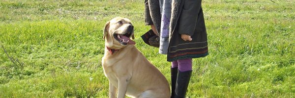 josepgrausantes Profile Banner