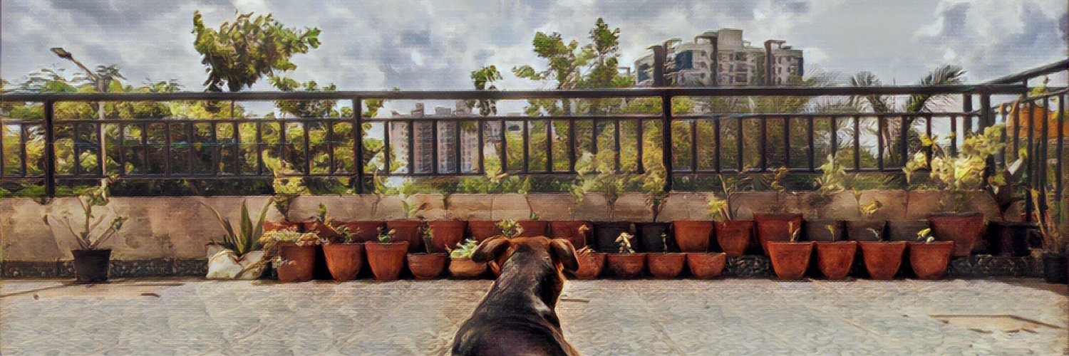 nowhere_man20's profile banner image