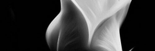 amandinelht's profile banner image