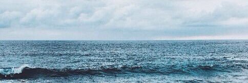 NATUR2E's profile banner image