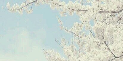 mind_letter's profile banner image