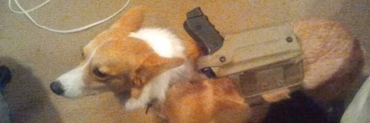 𝔈𝔫 ℜ𝔲𝔣𝔣𝔦𝔤 𝔗𝔶𝔭 banner