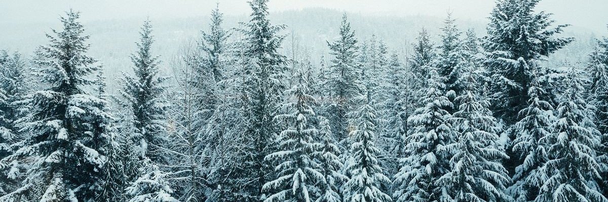 ittibittiums's profile banner image