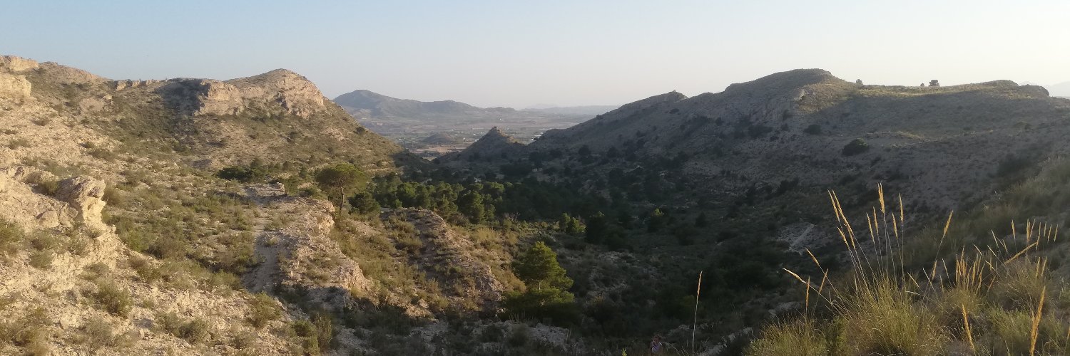 sergi_belda's profile banner image