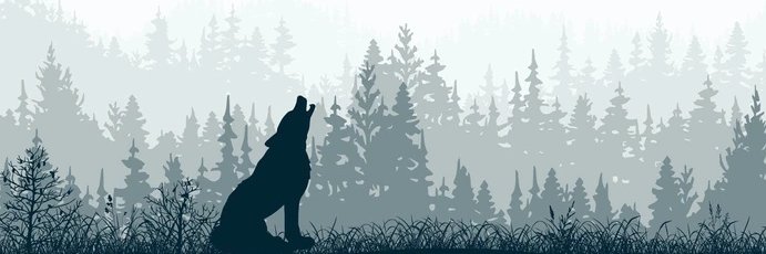 Shoppeal's profile banner image