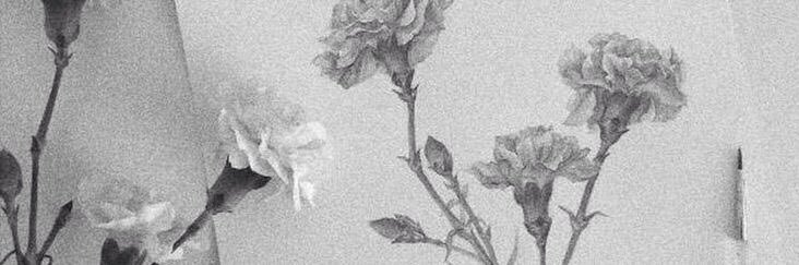kittexxn's profile banner image