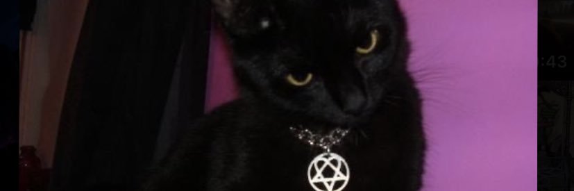 Breelatrix's profile banner image