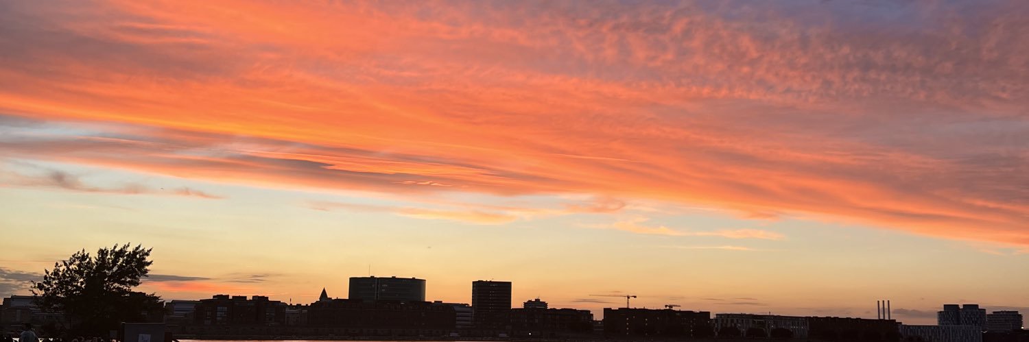 Birgitte L. Søe banner