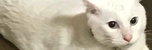 t2umusic Profile Banner