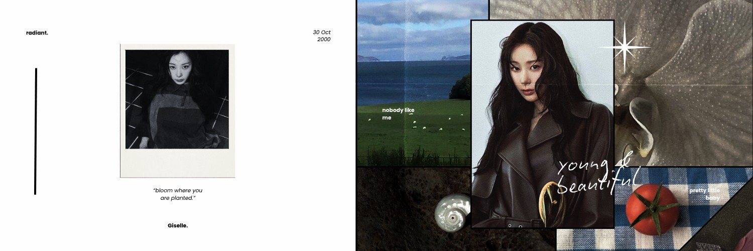ofgitselle's profile banner image