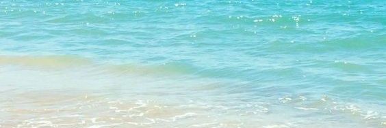 이쌤🐬 banner