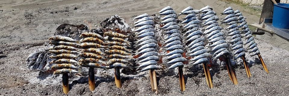 The Málaga Food Guide banner