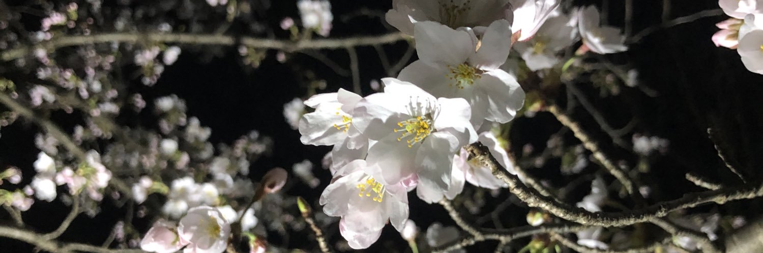 kkkou35's profile banner image