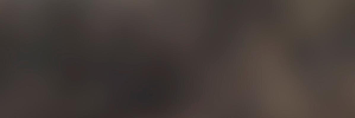 another | place banner