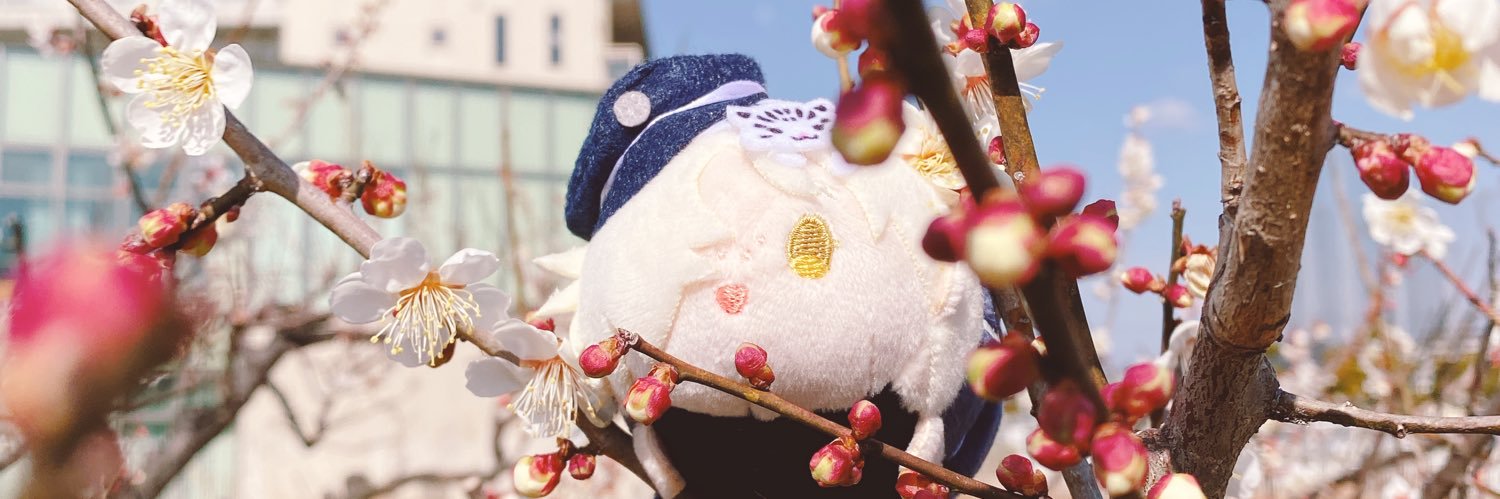 おもち banner