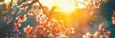 d_nerd_'s profile banner image